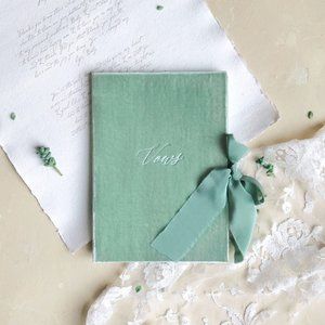 Elmo Paperstories Mint Velvet Vow Book